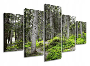 Obraz Gigant Las Natura Szary Zielony 150x100