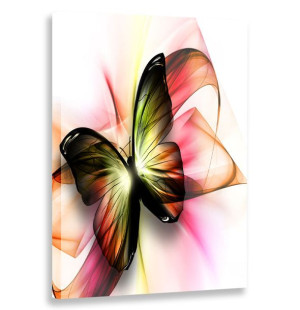 Obraz Pionowy Motyl 60x90 W Pionie