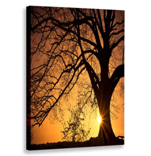 Obraz Pionowy Krajobrazy 60x90 W Pionie