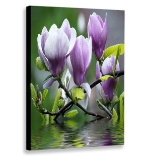 Obraz Pionowy Kwiaty Magnolie 60x90 W Pionie