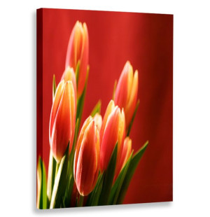 Obraz Pionowy Kwiaty 60x90 W Pionie