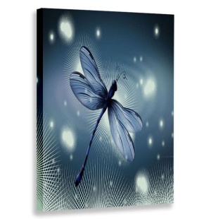 Obraz Pionowy Ważka 80x120 W Pionie