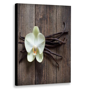 Obraz Pionowy Kwiat Na Deskach 80x120 W Pionie