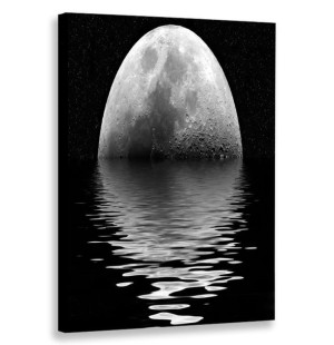 Obraz Pionowy Księżyc 80x120 W Pionie