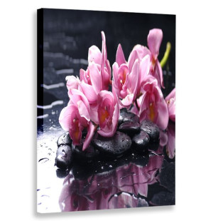 Obraz Pionowy Kwiaty Kamienie 80x120 W Pionie