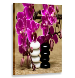 Obraz Pionowy Storczyki Kamyki 80x120 W Pionie