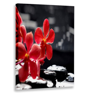 Obraz Pionowy Kwiaty Czerwone 80x120 W Pionie