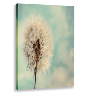 Obraz Pionowy Dmuhcawiec 80x120 W Pionie