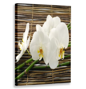 Obraz Pionowy Orchidea Bambusy 80x120 W Pionie