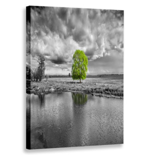 Obraz Pionowy Widok Widoki 80x120 W Pionie