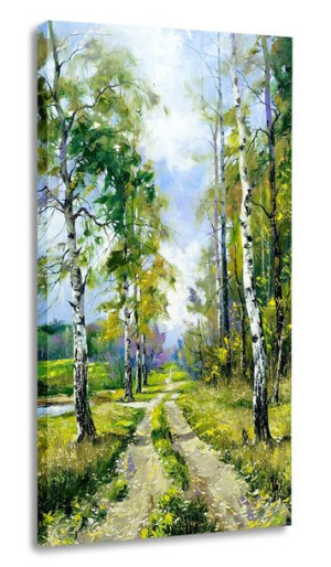 Obraz Polska Brzozy Lesna Droga 40x80