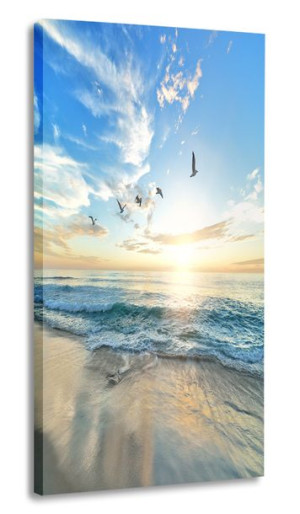 Obraz Morze Mewy 40x80