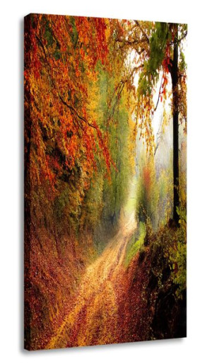 Obraz Las Jesień 40x80