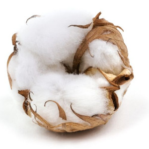 Zapach Czysta Bawełna (Clean Cotton) 250ml
