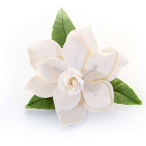 Zapach Dżungla Gardenii (Jungle Gardenia) 10ml