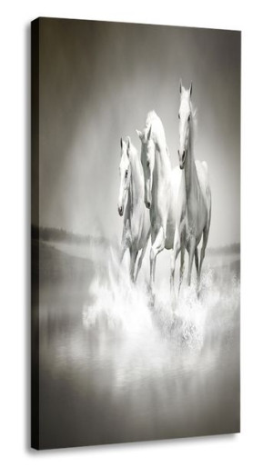Obraz Konie 30x60