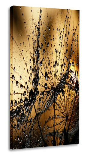 Obraz Krople Kwiat 30x60