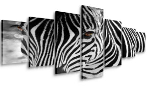 Obraz Do Salonu Zebra 210x100 Wielki