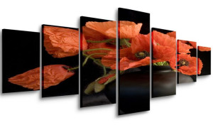 Obraz Do Salonu Maki 210x100 Wielki