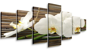 Obraz Do Salonu Orchidea Bambusy 210x100 Wielki
