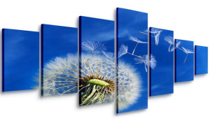 Obraz Do Salonu Turkus Dmuchawiec 210x100 Wielki