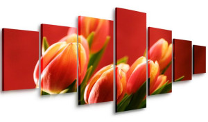 Obraz Do Salonu Kwiaty 210x100 Wielki
