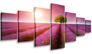 Obraz Do Salonu Lawendowe Pole 210x100 Wielki