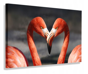 Obraz Serce Love Birds Obrazy Canvas 40x30