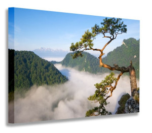 Obraz Pieniny Sokolica 60x40 Obrazy Na Płótnie