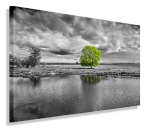 Obraz Pejzaż Drzewo Widok Obrazy Canvas 60x40