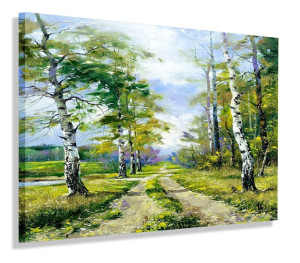 Obraz Las Droga Brzozy Obrazy Canvas 60x40
