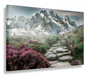 Obraz Góry Zaśnieżone Obrazy Canvas 100x70