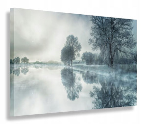 Obraz Zima Mgła Obrazy Canvas 100x70