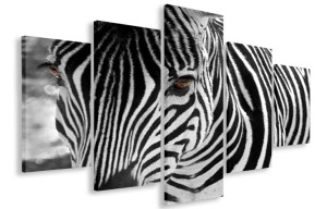 Obraz Obrazy Zebra 125x70 Płótno