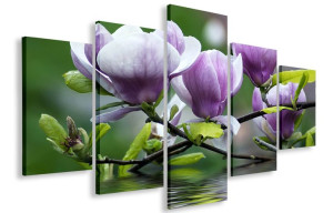 Obraz Obrazy Kwiaty Magnolie 125x70 Płótno