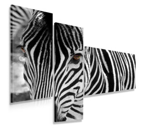 Obraz Tryptyk 110x80 Zebra Nowoczesny