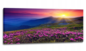 Obraz Led + Pilot 130x55 Widok Góry Słońce