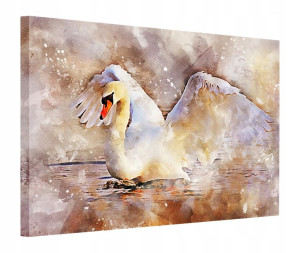 Obraz 130x90 Łabędź