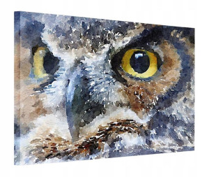 Obraz 130x90 Sowa