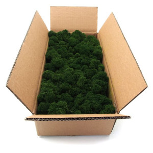 Mech chrobotek fiński ciemnozielony 500g