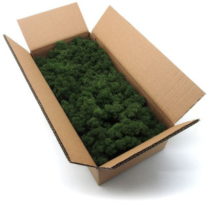 Mech chrobotek norweski ciemnozielony 500g