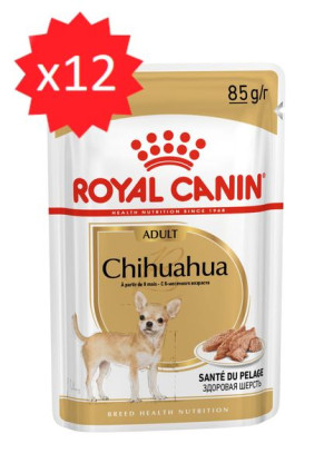 Royal Canin Chihuahua Adult 12x85g