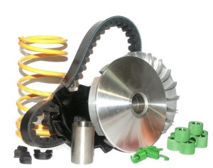 Wariator Talerz Pasek Tuning Tgb Br 1 303rs Br1 50