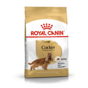 ROYAL CANIN Cocker Spaniel Adult Karma Sucha Dla Psów Dorosłych Rasy Cocker