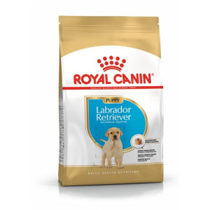 ROYAL CANIN Labrador Retriever Puppy Karma Sucha Dla Szczeniąt Do 15 Miesią