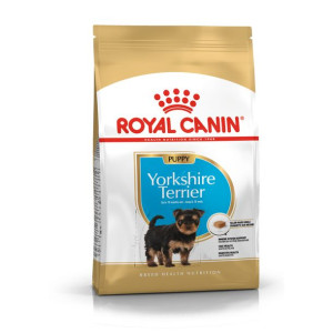 ROYAL CANIN Yorkshire Terrier Puppy Karma Sucha Dla Szczeniąt Do 10 Miesiąc