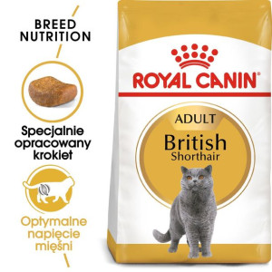 ROYAL CANIN British Shorthair Karma Sucha Dla Kotów Dorosłych Rasy Brytyjsk