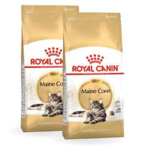 Pakiet ROYAL CANIN Maine Coon Adult Karma Sucha Dla Kotów Dorosłych Rasy Ma