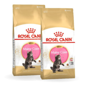 Pakiet ROYAL CANIN Maine Coon Kitten Karma Sucha Dla Kociąt Do 15 Miesiąca 
