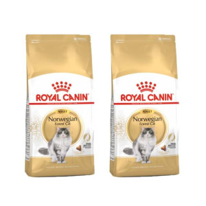 Pakiet Royal Canin Norvegian Forest Cat Adult Karma Sucha Dla Kotów Dorosły
